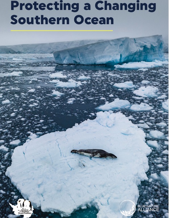 Protecting a Changing Southern Ocean