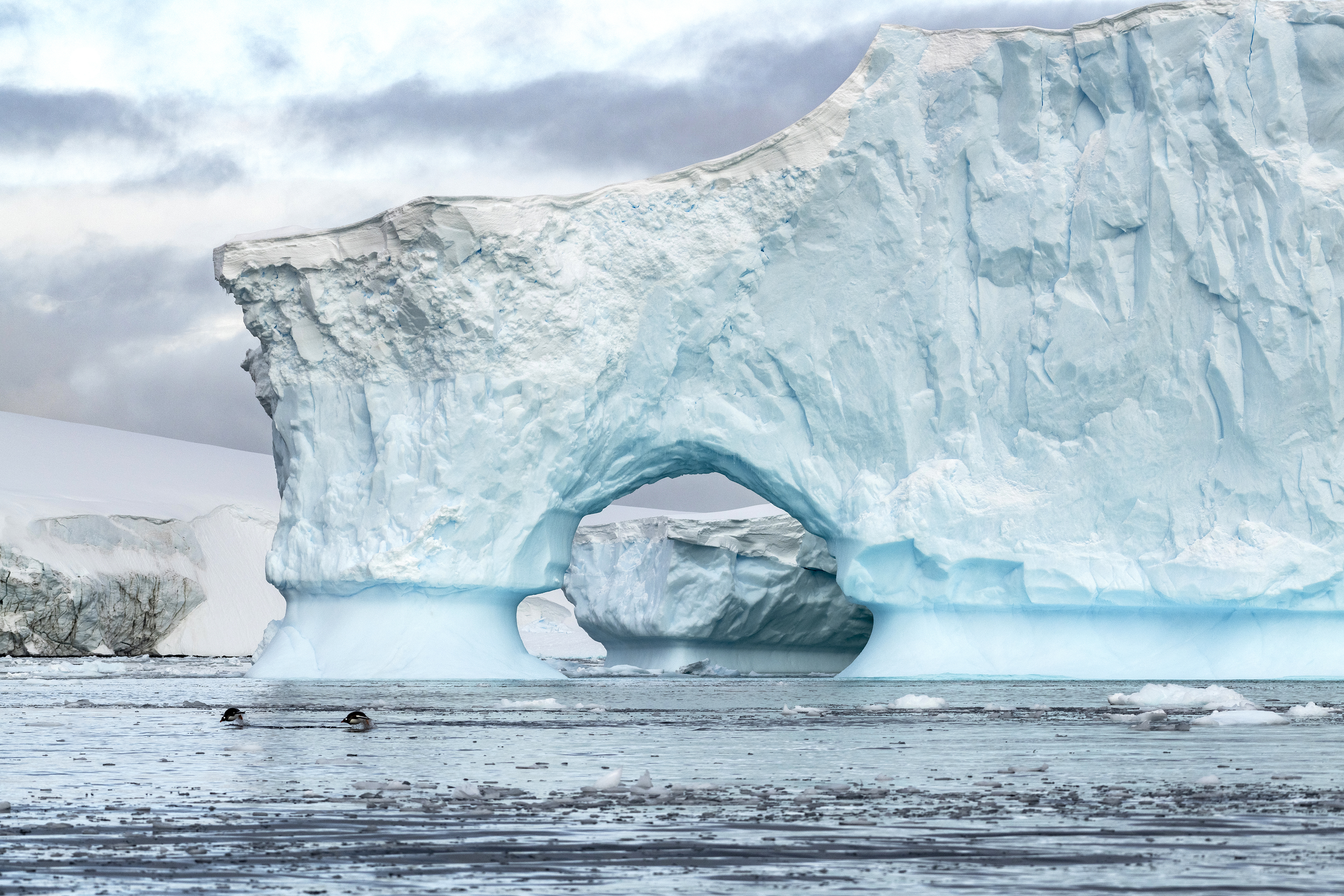 Antarctic expedition ship in Southern Ocean waters