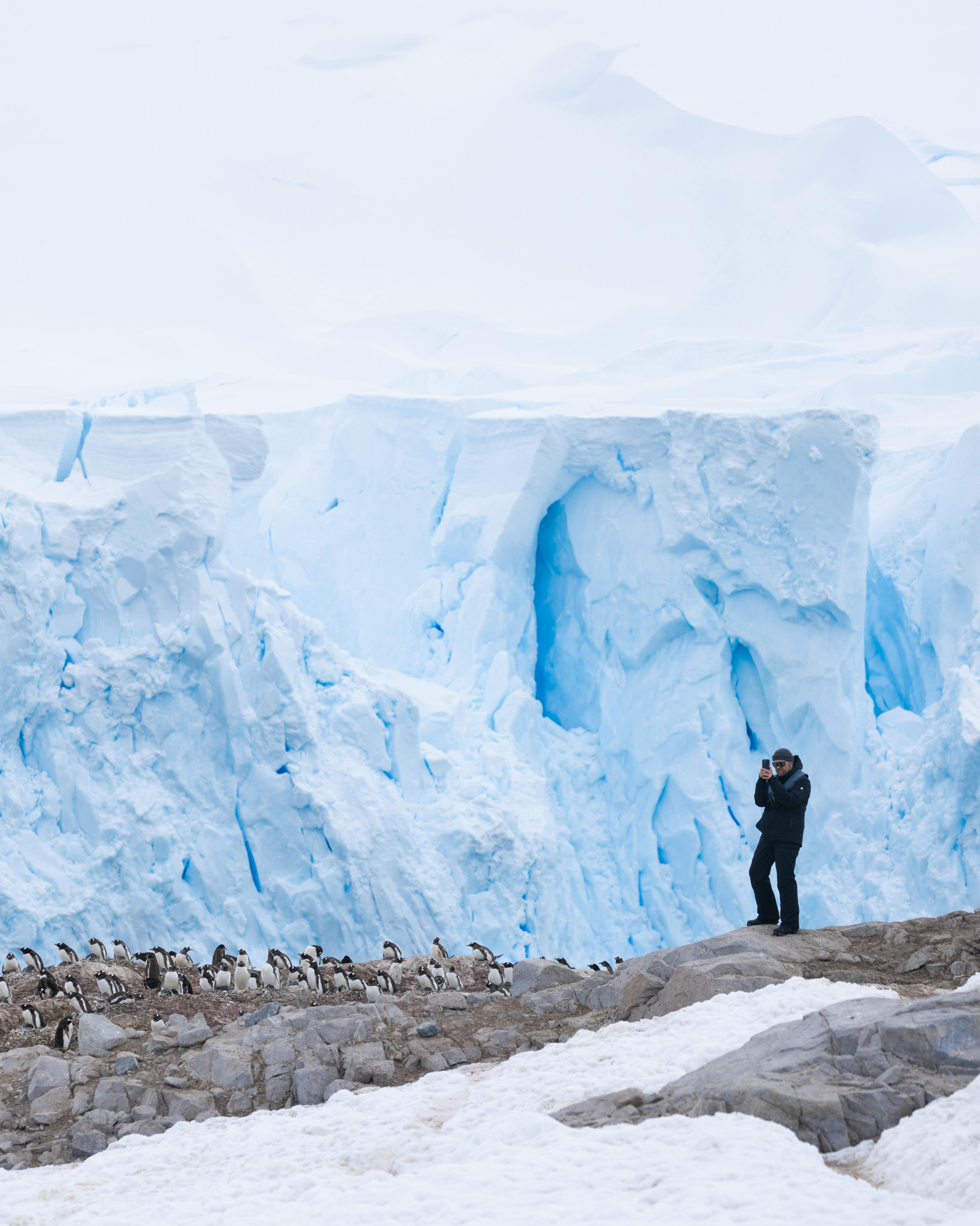 Antarctic science